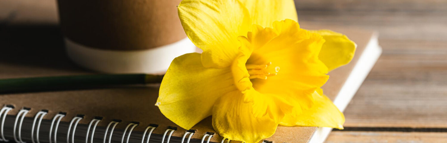 Żółty żonkil na notesie i kubek kawy symbolizujące wiosenne zmiany